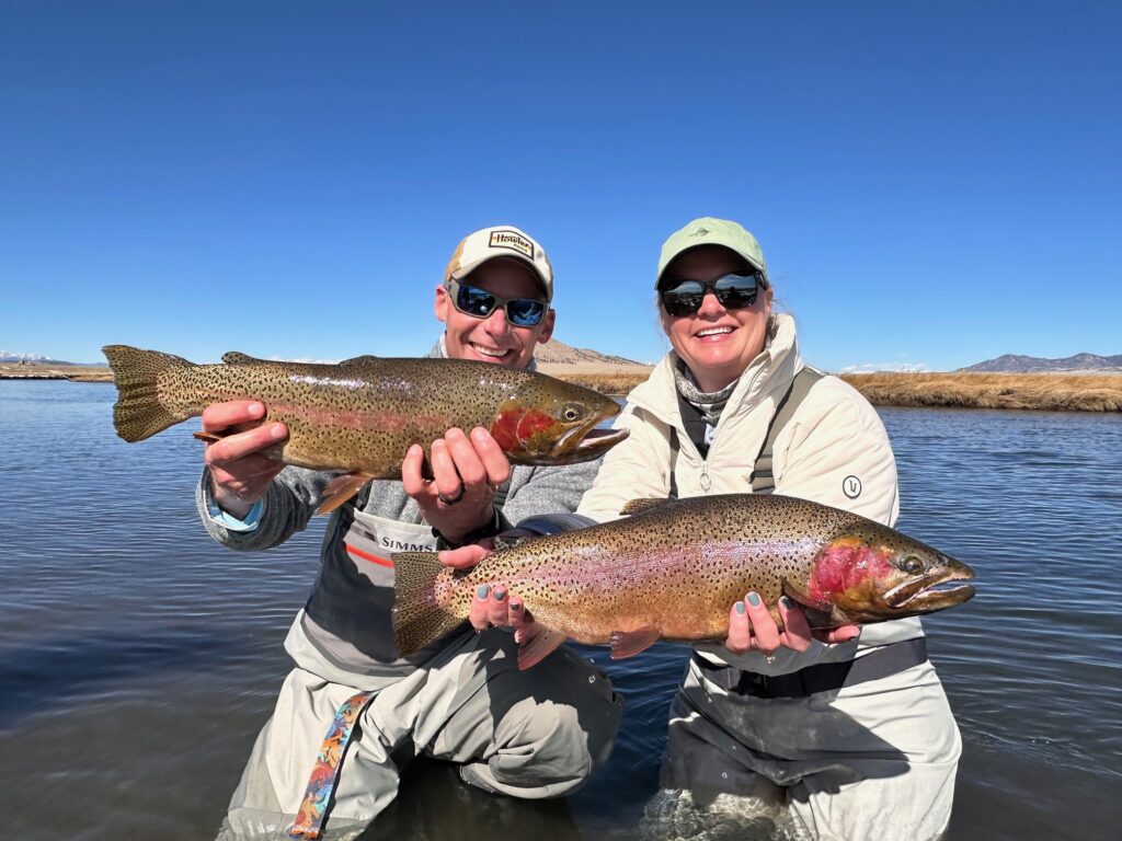 Another big double on the Dream Stream.