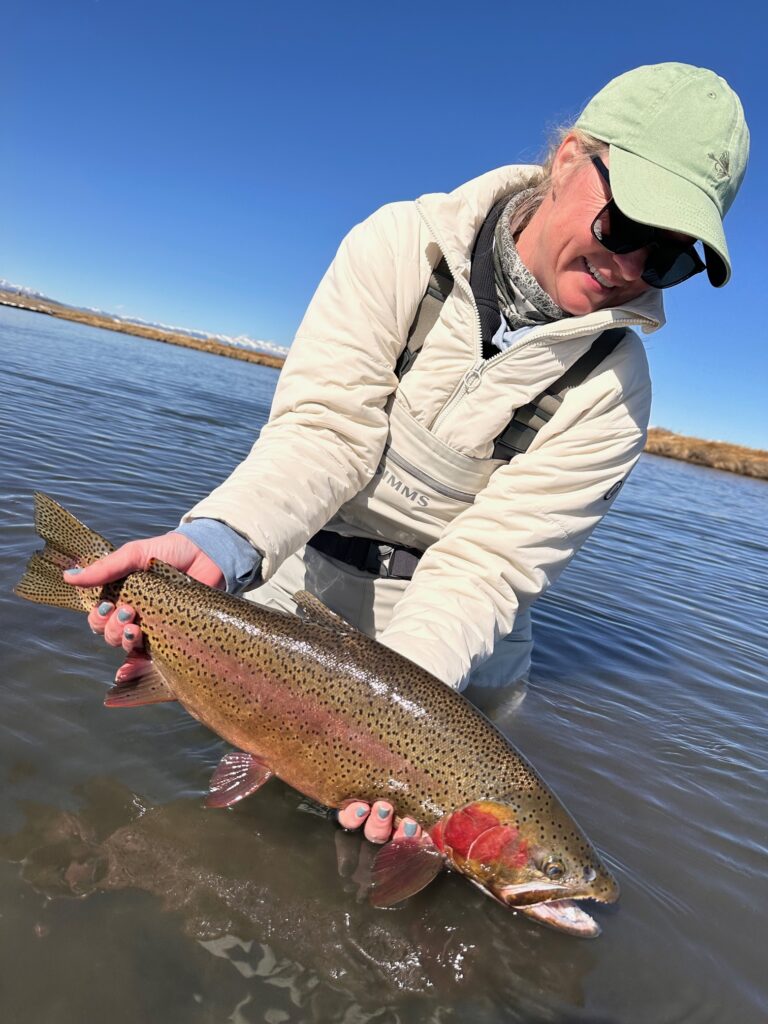 Mandi releasing a huge South Park fish from a guided trophy trip.